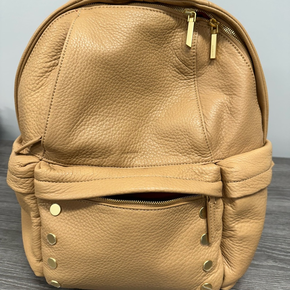 Hammitt Large Hunter Backpack